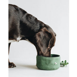 Elevate Your Dog's Experience with Our Folding Dog Bowl