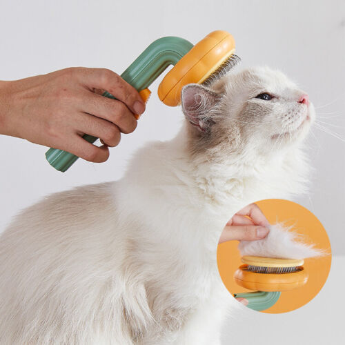 Transform Grooming Time with Our Pet Pumpkin Grooming Self Cleaning Slicker Brush