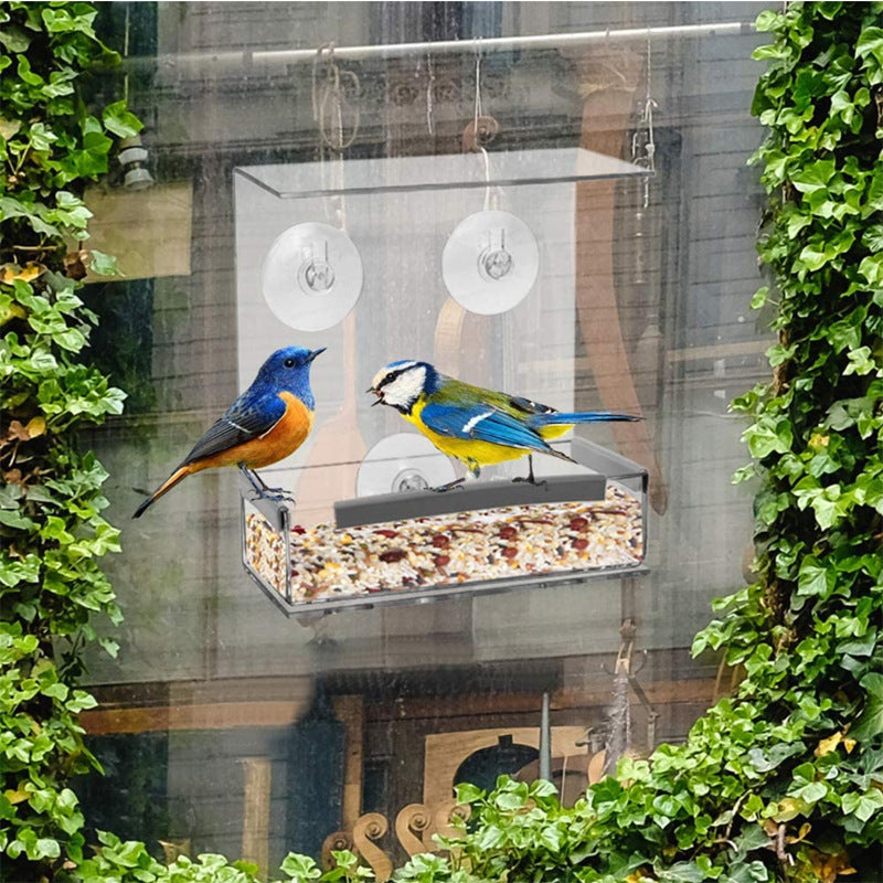 Transform Your Garden with Our Acrylic Bird Feeder