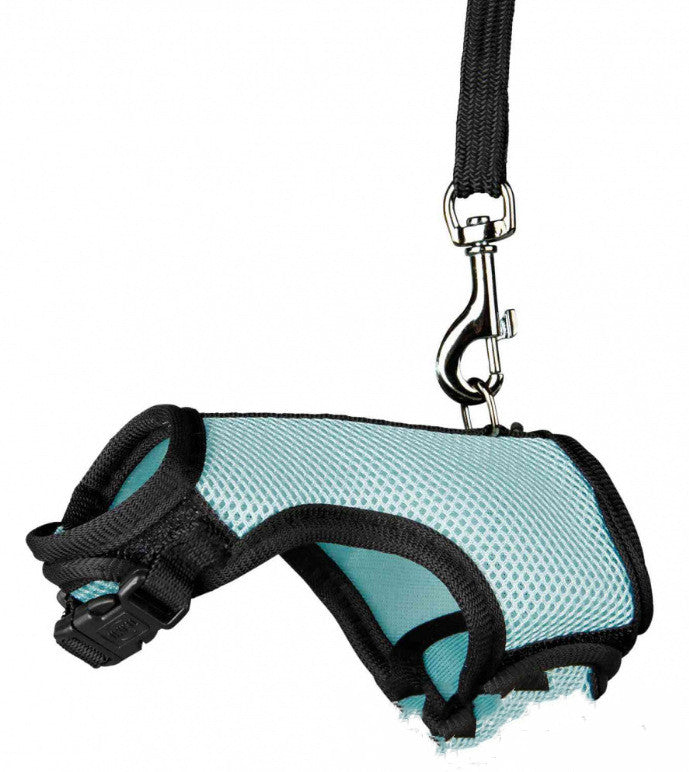 The Perfect Small Pet Leash for Your Furry Friends