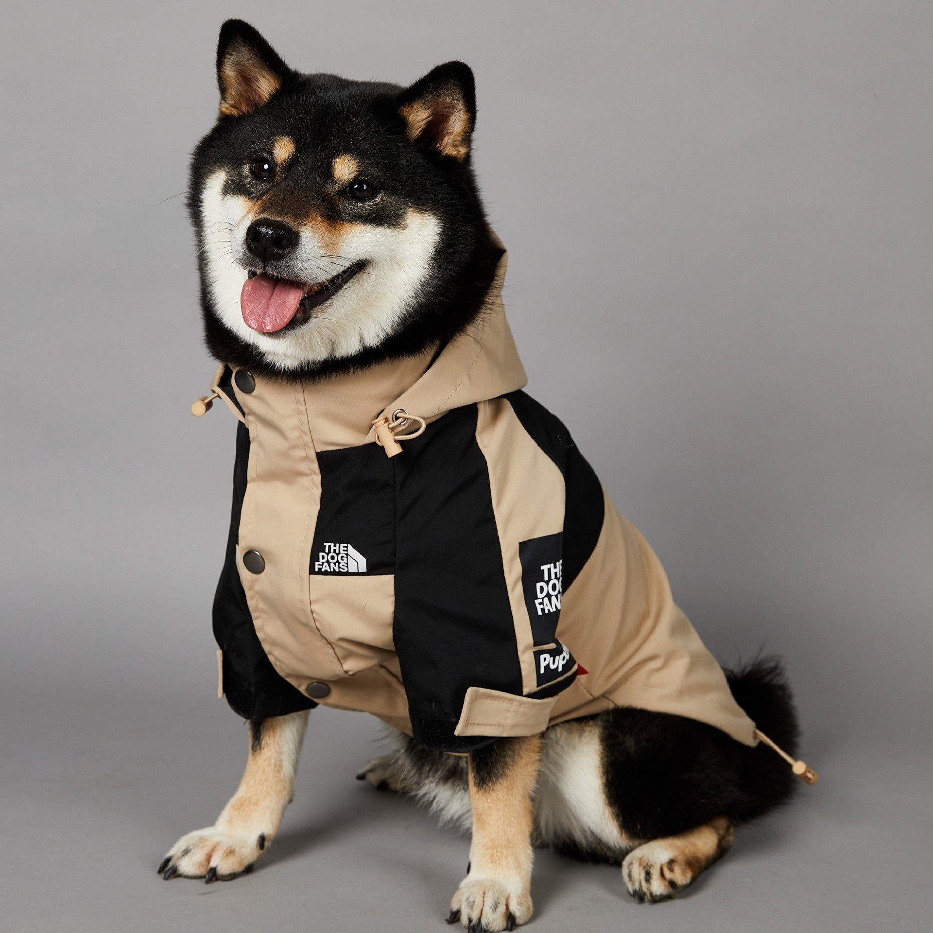 Keep Your Pup Stylish and Cozy with the Khaki Dog Pet Shell Jacket