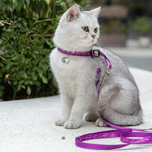 Enhance Your Cat's Adventures with the Pet Cat Bell Chest Strap
