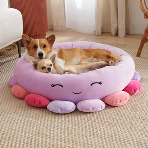 Why Your Pet Deserves the Animals And Fruits Super Soft Plush Pet Bed