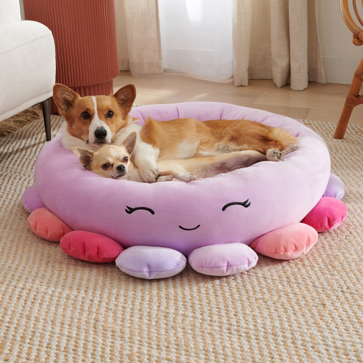 Why Your Pet Deserves the Animals And Fruits Super Soft Plush Pet Bed