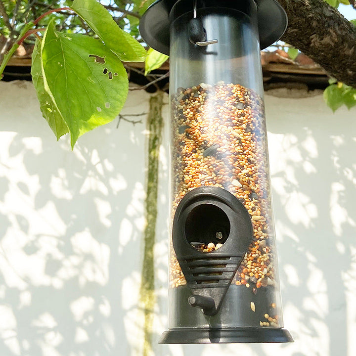 Outdoor Hanging Automatic Bird Feeder: Transform Your Outdoor Space