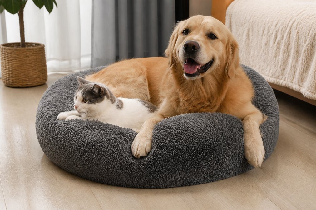 Alternatives to Entirely Pets for Premium Supplies