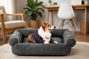 Benefits of Velvet Pet Beds for Comfort