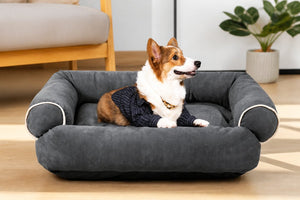Best 1800PetSupplies Alternatives 2026