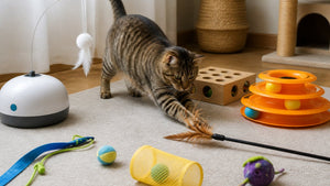 Best Interactive Cat Toys for Indoor Entertainment