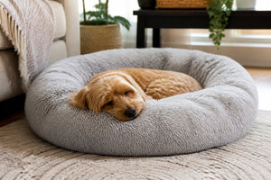 Best Plush Dog Bed for Anxiety: 2026 Reviews