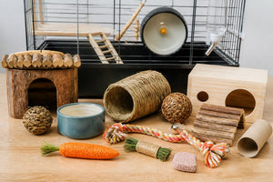 Best Small Pet Cage Accessories: 10 Essential Items