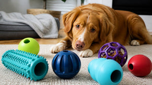 Best Stuffable Toys for Anxious Dogs