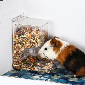 The Ultimate Hamster Feeder Food Box: A Must-Have for Every Hamster Owner