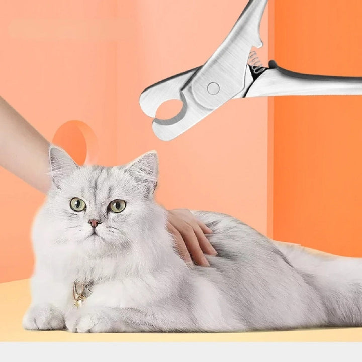 The Must-Have Tool for Every Pet Owner: Professional Pet Nail Clipper