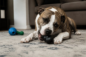 Durable Toys for Aggressive Chewers: Top Picks & Safety Guide
