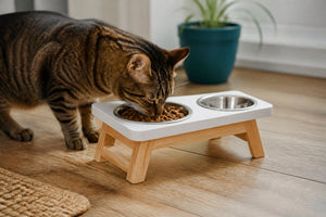 Ergonomic Pet Bowls for Cats: A How-To Guide
