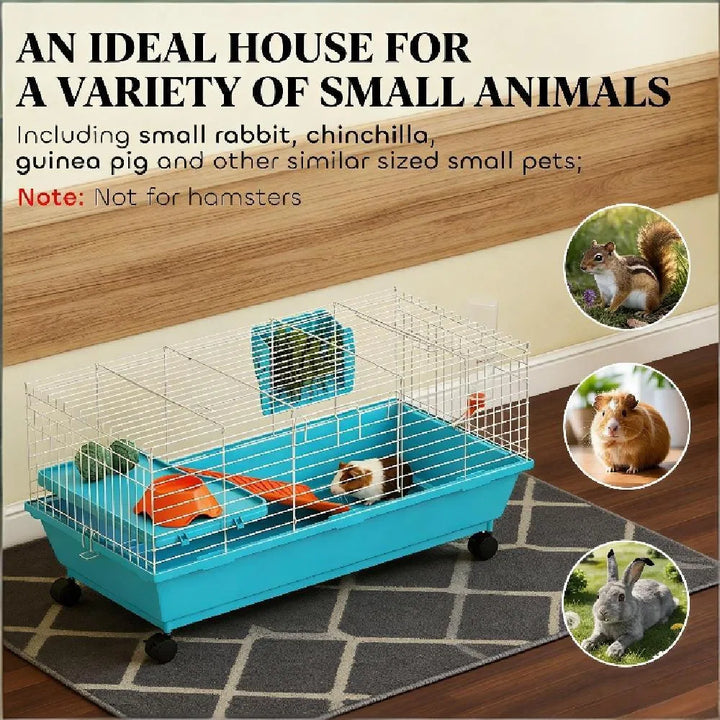 The Ideal Home for Your Small Pets: Small Animal Cage