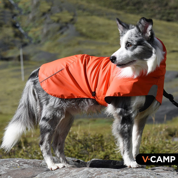Why Your Dog Needs the Waterproof Windproof Pet Raincoat