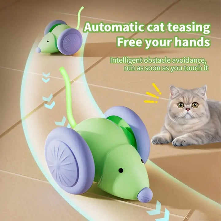 Engage Your Feline Friend with the Ultimate Interactive Cat Toy