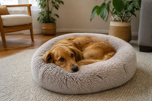 How to Calm Anxious Pets: 7 Proven Methods