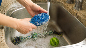 How to Clean Rubber Dog Toys Properly