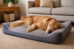 Memory Foam Pet Beds Reviews: 7 Best Picks for 2026