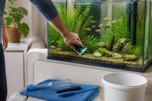 Safe Fish Tank Cleaning Kits: A How-To Guide