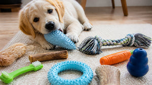 Safe Household Items for Teething Puppies: 9 Picks
