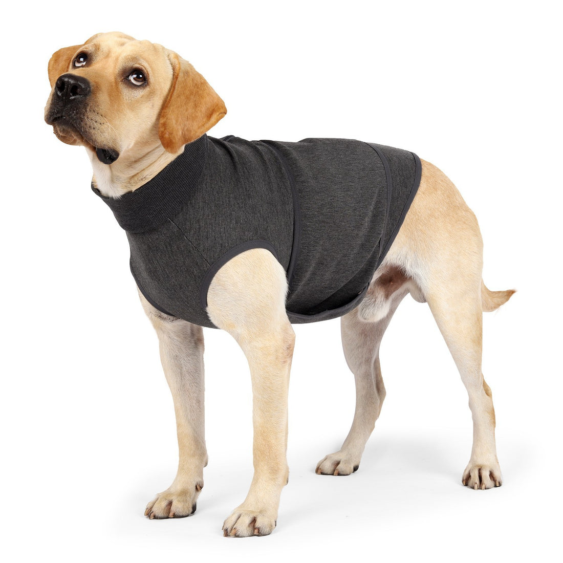 Pet Polyester Emotional Comfort Cotton Jacket