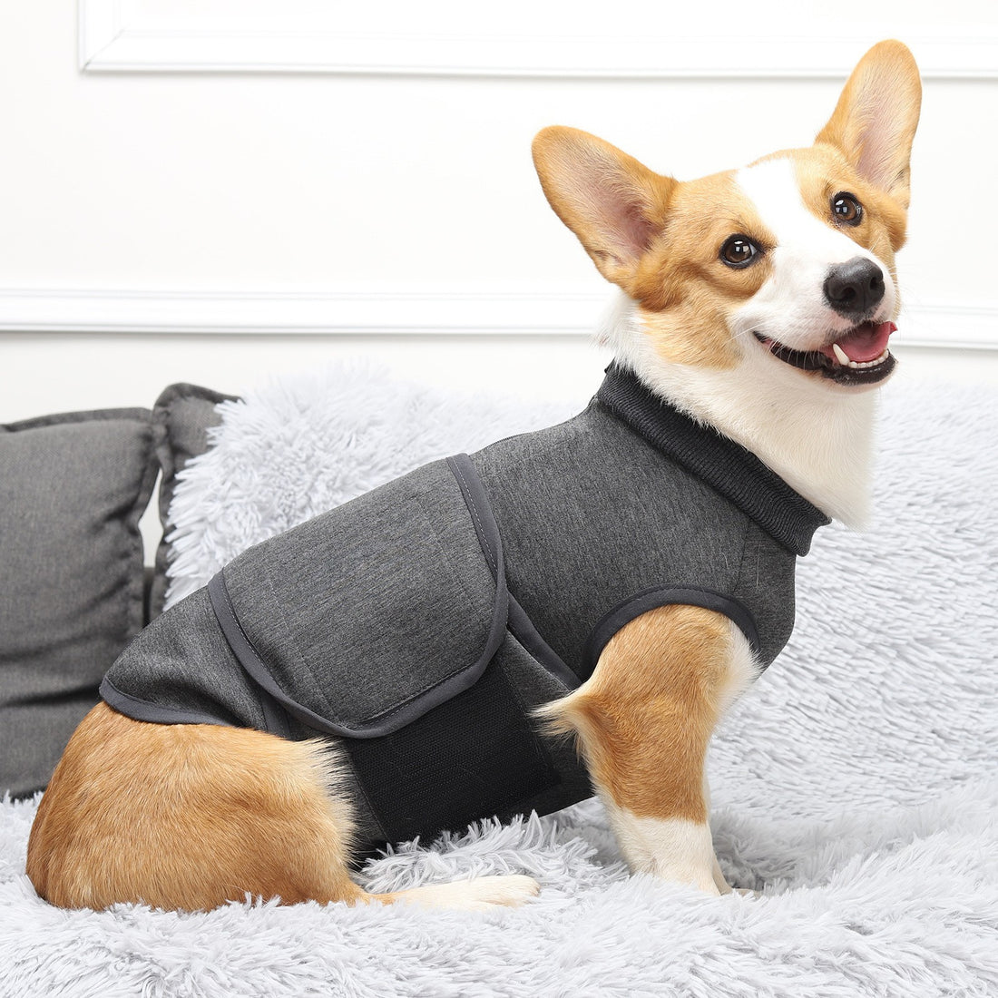 Pet Polyester Emotional Comfort Cotton Jacket