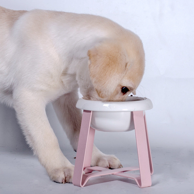 Pet Creative Antislip Feeding Bowl
