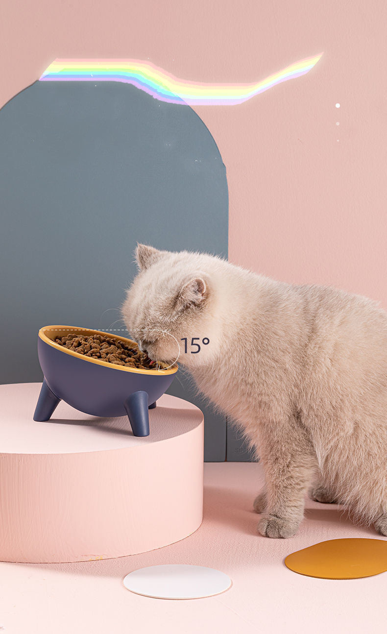 Pet Feeding Food With Stand
