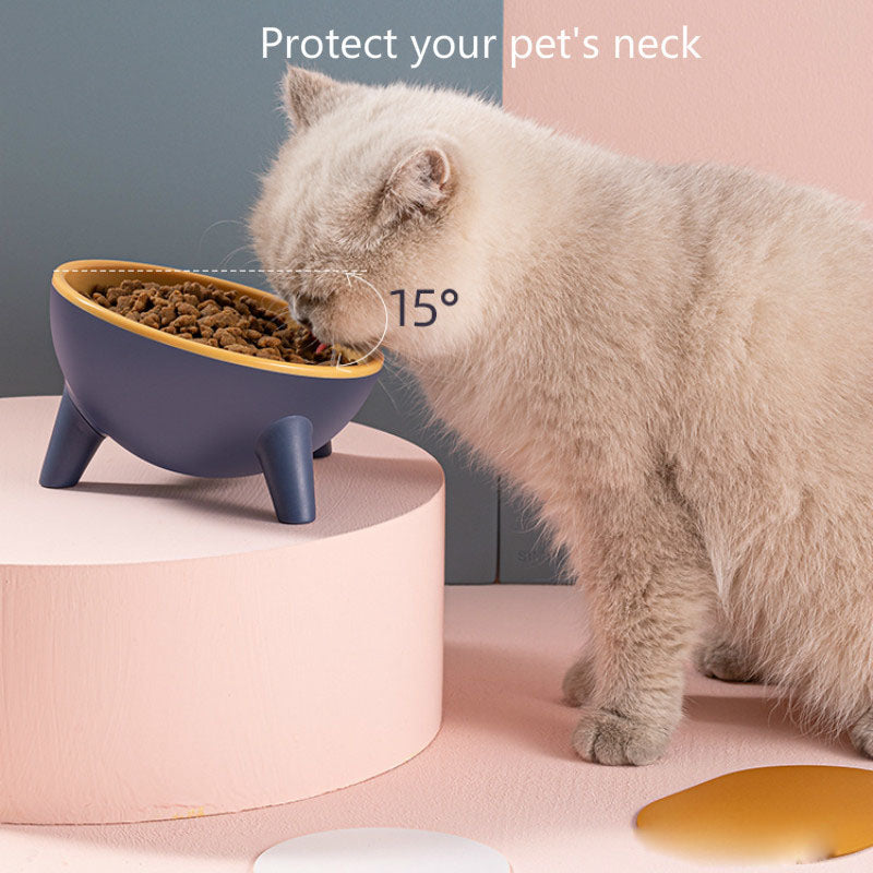 Pet Feeding Food With Stand