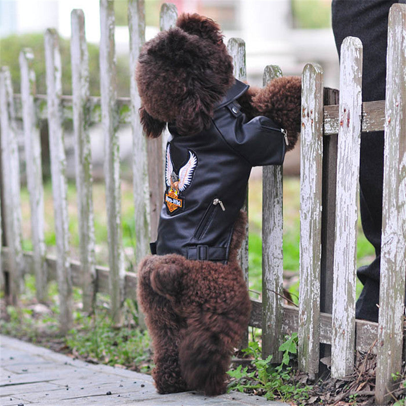 Pet Small Dog Sticker Leather Jacket