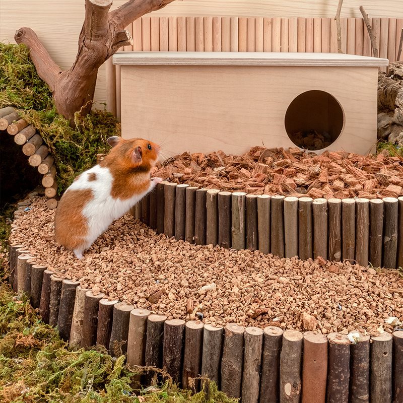 Oak Cork Hamster Digging Hamster Cage