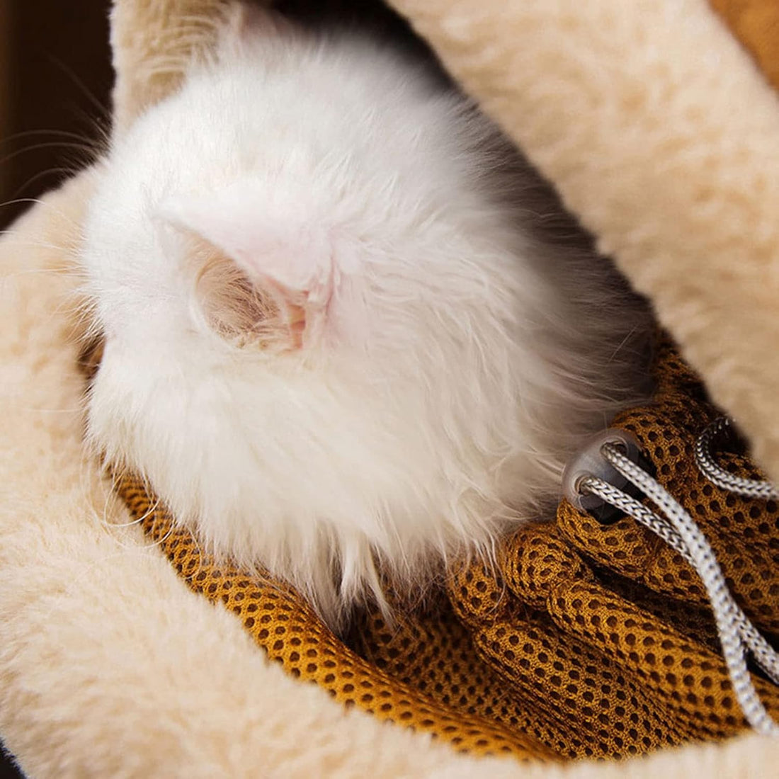 Pet Carrier Backpack