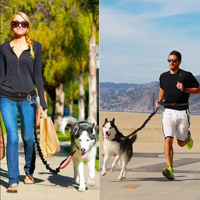 Harness Collar Jogging Adjustable Pet Leash