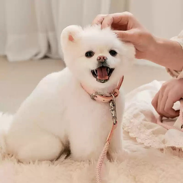 Pet Leather Hand Holding Leash