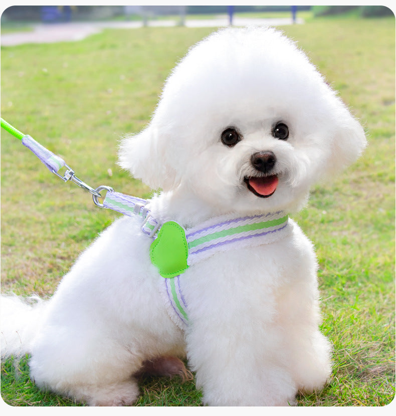 Pet Summer Breathable Leash