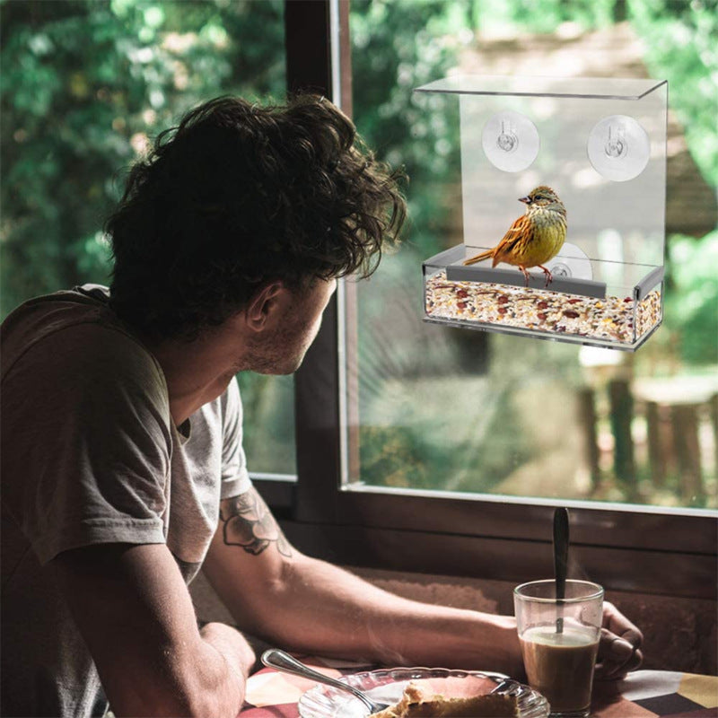Acrylic Bird Feeder