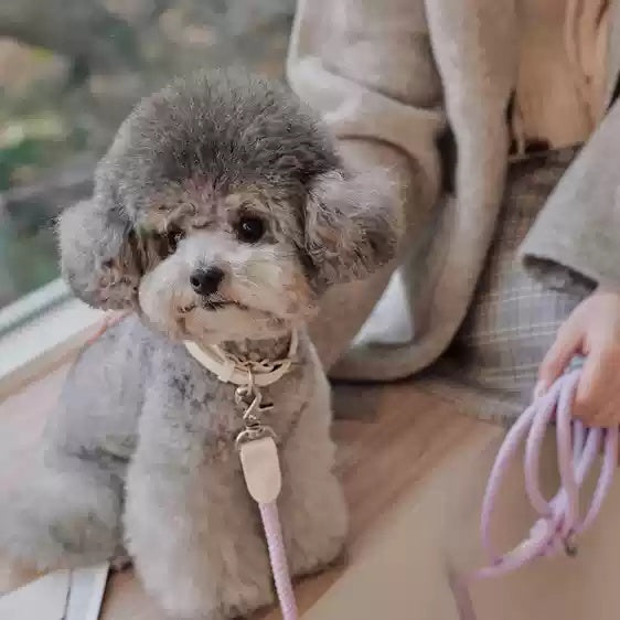 Pet Leather Hand Holding Leash