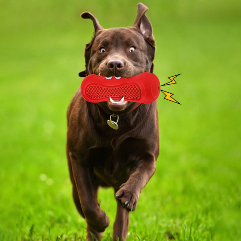 Vocal Rugby Pet Toys