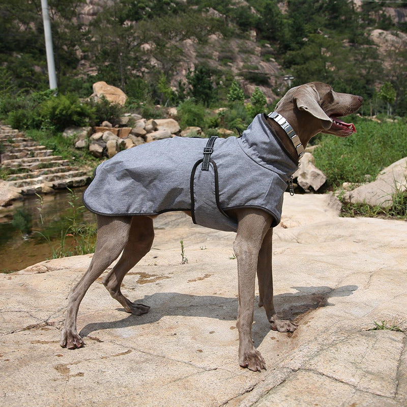 Pet Shell Jacket