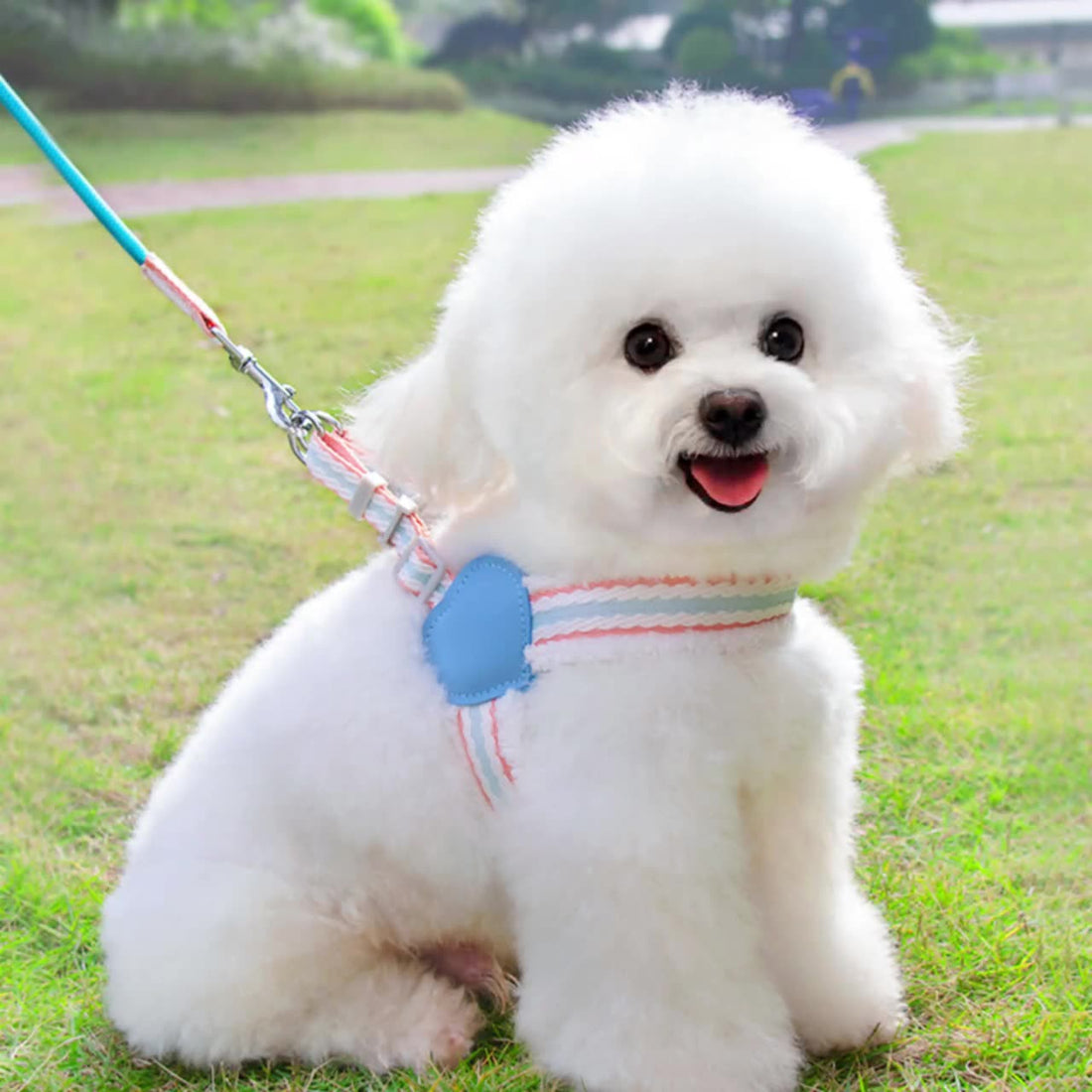 Pet Summer Breathable Leash