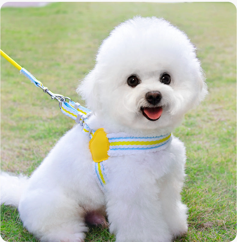 Pet Summer Breathable Leash