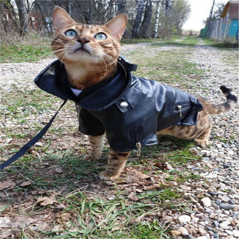 Pet Small Dog Sticker Leather Jacket