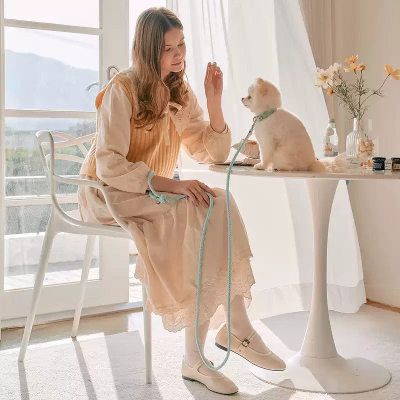 Pet Leather Hand Holding Leash