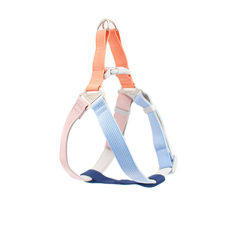 Colorful Outing Dog Leash Pet Supplies