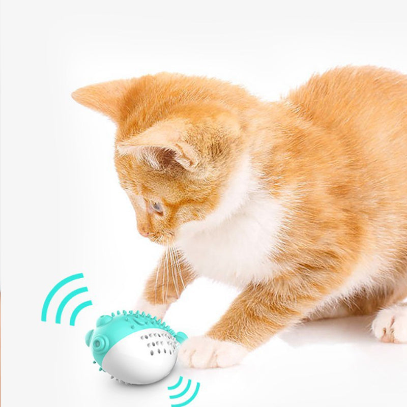 Pet Grabbing Chew Toys
