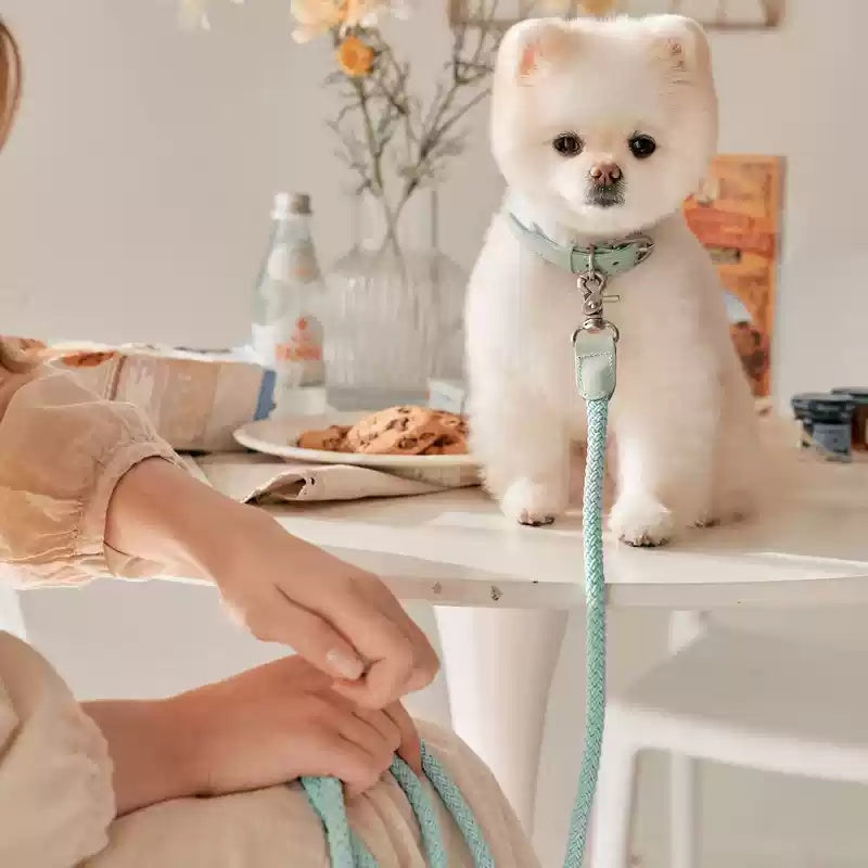 Pet Leather Hand Holding Leash